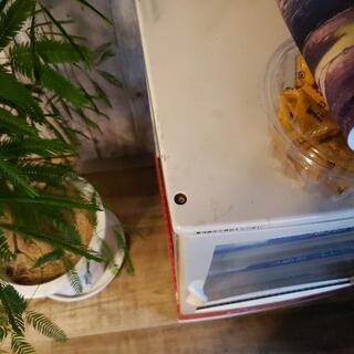 冷蔵庫　ショーケース