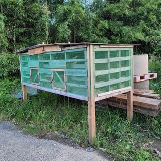 中古鳥小屋が無料 格安で買える ジモティー 中古鳥小屋が無料 格安で買える ジモティー