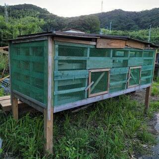 激安王価格‼️手作り鳥小屋 【公式通販】
