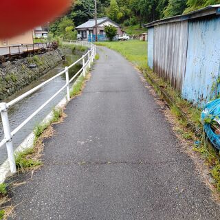 【ネット決済】山林売ります・平地・畑も含む  キャンプ・農園・ヒ...