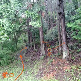 山林売ります・平地・畑も含む  キャンプ・農園・ヒノ木細工・ロッジ・田舎暮らし・アトリエ等