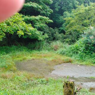 山林売ります・平地・畑も含む  キャンプ・農園・ヒノ木細工・ロッジ・田舎暮らし・アトリエ等