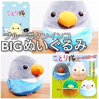 ことり隊 BIGぬいぐるみ ブルーボタンインコ まんまる 特大