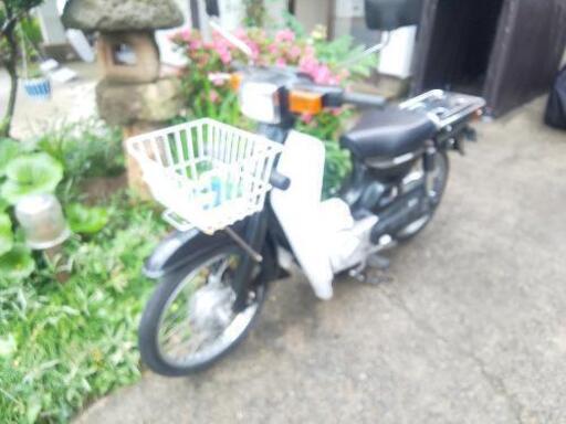 バーディー50