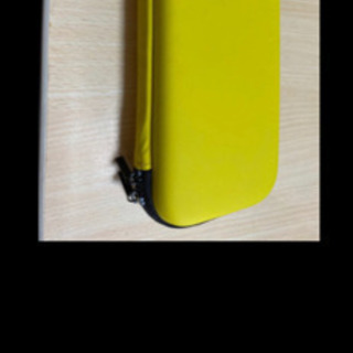 Switch Light ケース付き