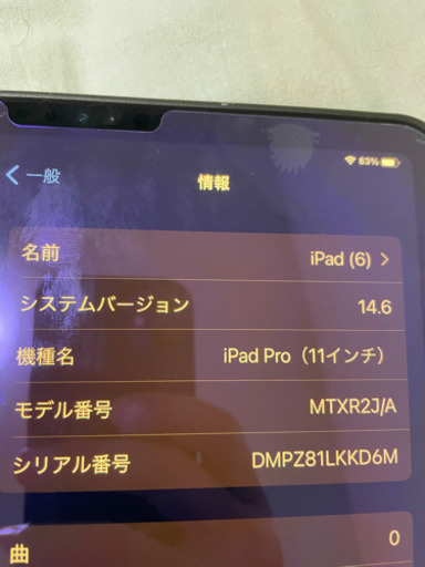 iPad Pro 11インチ 第一世代 256GB シルバー Wifiモデル