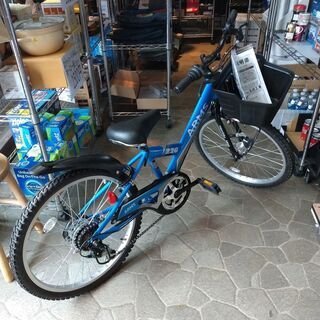 タマコシ 自転車 22インチ 子供用 C2107122