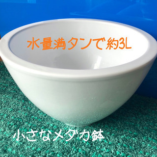 小さなメダカ鉢(満タンで3リットル)    室内での飼育に　陶器鉢