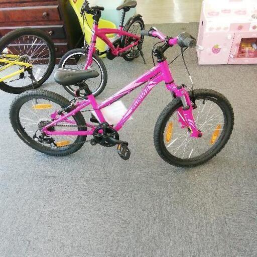 SPECIALIZED HOTROCK 　20 インチ