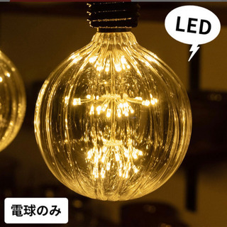 LEDライト　ライトのみ　E26 1球　定価2860円