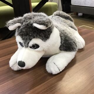 シベリアンハスキー風　ぬいぐるみ　犬　ペット　置物　飾り　ハスキー犬