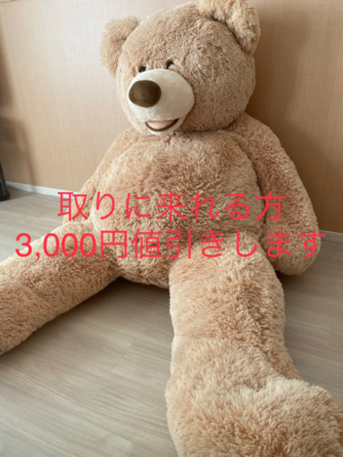 コストコ　クマ　135センチ　ウエディング