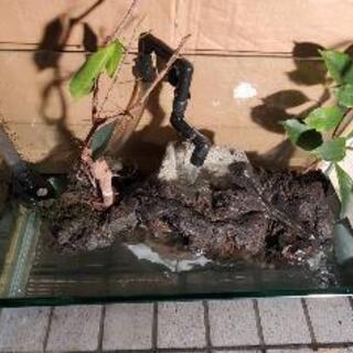 お引き取り　決定☆静岡県　富士山　溶岩石　アクアリウム　60cm水槽に(^^) お引き取り 決定☆静岡県 富士山 溶岩石 アクアリウム 60cm水槽に(^^)