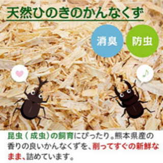 最終値下！天然ひのきかんなくず カブトムシやクワガタ ハムスターなどに