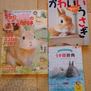 ウサギの本3冊