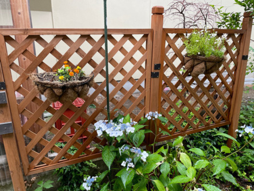 ラティスフェンス のりちゃん 村井の家具の中古あげます 譲ります ジモティーで不用品の処分 ラティスフェンス のりちゃん 村井の家具の中古あげます 譲ります ジモティーで不用品の処分
