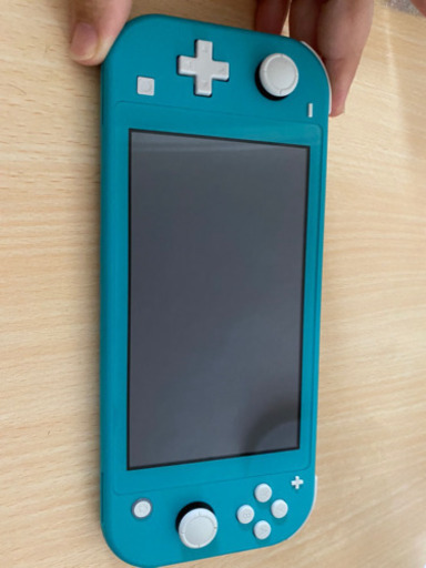 Switch Light ケース付き