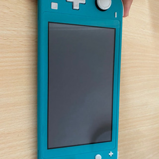 Switch Light ケース付き