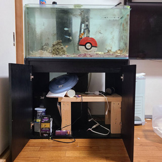 沖縄県の中古水槽台が無料 格安で買える ジモティー