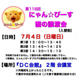 7月4日(日)🌸にゃん☆ぴーす猫の譲渡会🌸「DC会館」JR東千葉...