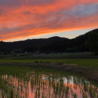 ⛰トレッキング、山登り、交流会、自然が好きな人❗ご一緒しませんか⛰