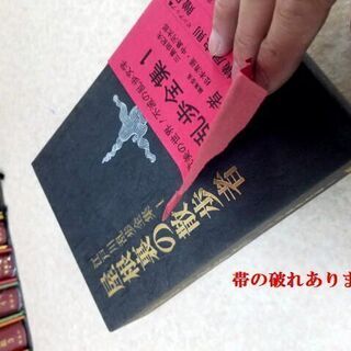 江戸川乱歩全集 全15巻セット 講談社 月報揃い 購入特典「横尾