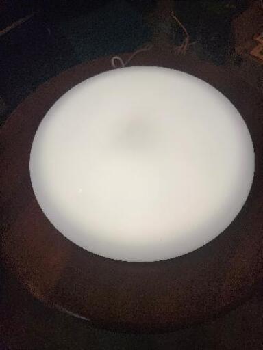 LEDシーディングライト