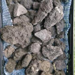 溶岩石 めだかビオトープアクアリウム サタニック 谷山のその他の中古あげます 譲ります ジモティーで不用品の処分 溶岩石 めだかビオトープアクアリウム サタニック 谷山のその他の中古あげます 譲ります ジモティーで不用品の処分