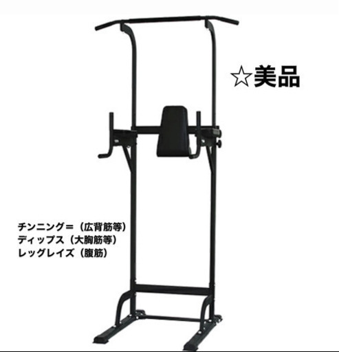 リーディングエッジ ホームジム ST 懸垂器具 腹筋 腕立て運動可能 ぶら下がり健康器 マルチジム LE-VKR02