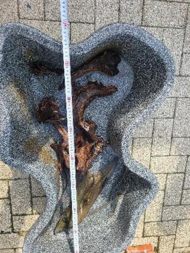 ひょうたん池？なごみ池？流木等