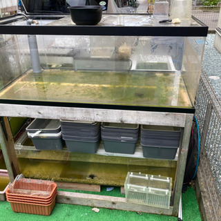 120×60×45 国産アクリルオーバーフロー水槽