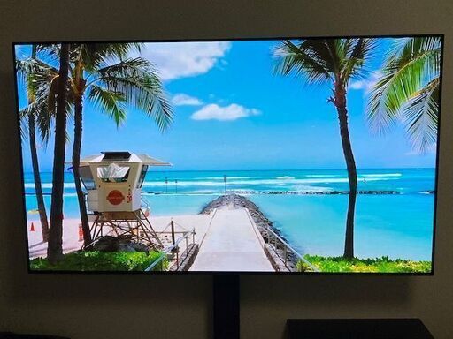 LG 65V型 有機EL テレビ OLED65C8PJA　直接引き取り限定！