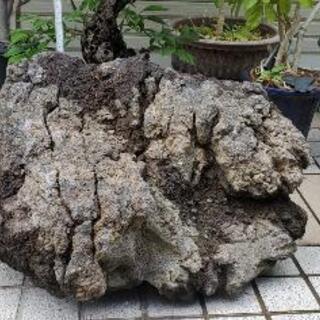 送付可能です‼️　　希少‼️　　😄　富士山　溶岩石　50kg前後😆配送ご相談ください