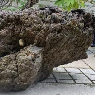 送付可能です‼️　　希少‼️　　😄　富士山　溶岩石　50kg前後😆配送ご相談ください