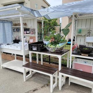 メダカ　無人販売　ひので屋　甲府　