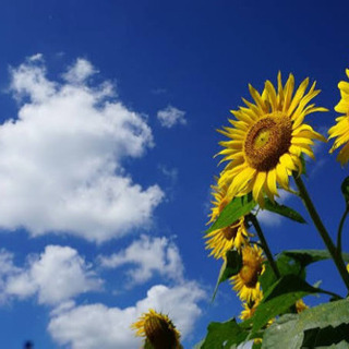 🌻梅雨明けキャンペーン🌻