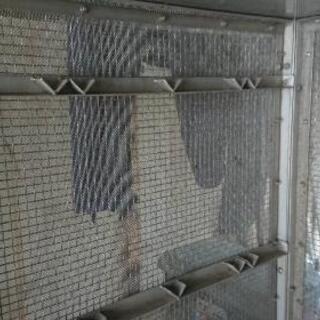 もう少し値下します❗魚を干すカゴ(ステンレス)と電動回転式一夜干し機