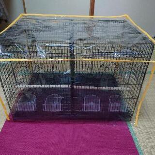 鳥ゲージ　二羽飼い　仕切り　アメリカ　プレビューペット社製