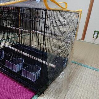 鳥ゲージ　二羽飼い　仕切り　アメリカ　プレビューペット社製
