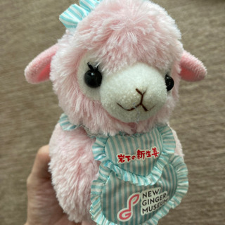 中古新生姜が無料 格安で買える ジモティー 中古新生姜が無料 格安で買える ジモティー