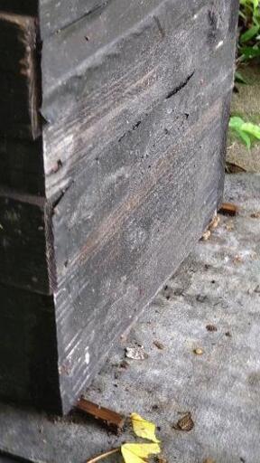 ストア 山で蜂入っていました。よかったらお譲りします。 