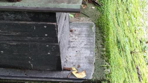 ストア 山で蜂入っていました。よかったらお譲りします。 