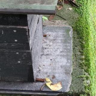 山で蜂入っていました。よかったらお譲りします。