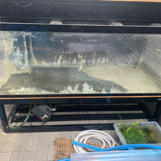 アクリル1500水槽