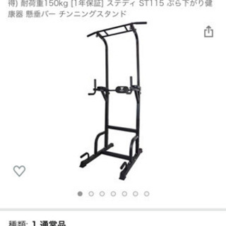 【ネット決済】ぶら下がり健康器