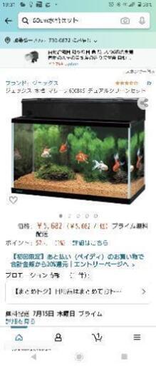 値下げ応じます！60cm水槽フルセット＋生体