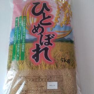 玄米　5キロ