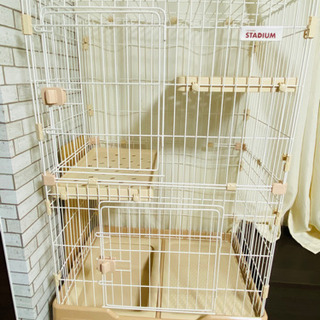 中古猫ケージが無料 格安で買える ジモティー 中古猫ケージが無料 格安で買える ジモティー