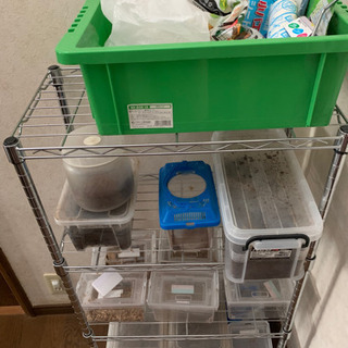 値下げ　クワガタ　カブト　メダカ　コンテナ　ラック等 値下げ クワガタ カブト メダカ コンテナ ラック等