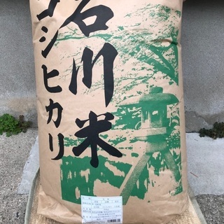 受付再開　令和2年産　　1等級品　石川県産　コシヒカリ玄米30kg 